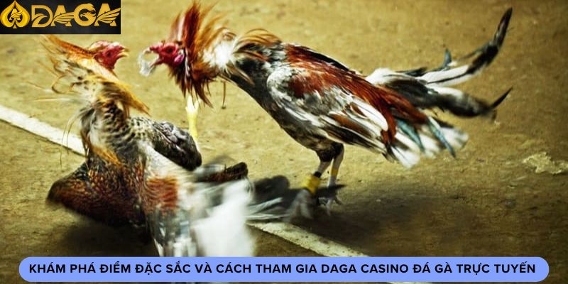 Daga online đá gà trực tiếp