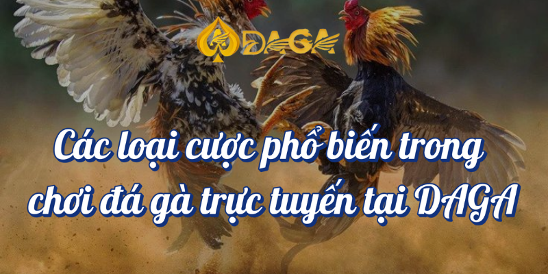 Chơi đá gà trực tuyến bí quyết cho người mới tại Daga 4 Các loại cược phổ biến trong chơi đá gà trực tuyến tại DAGA