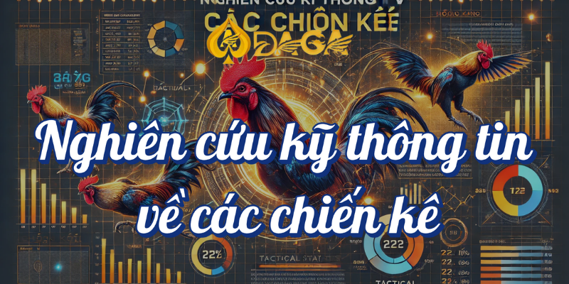 Top 5 mẹo đá gà giúp bạn gia tăng cơ hội thắng tại DAGA 2 Nghiên cứu kỹ thông tin về các chiến kê Daga