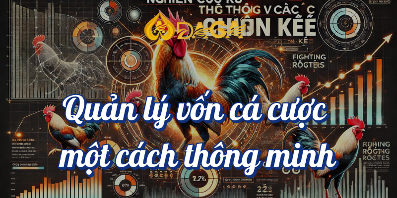 Top 5 mẹo đá gà giúp bạn gia tăng cơ hội thắng tại DAGA 4 Quản lý vốn cá cược một cách thông minh DAGA