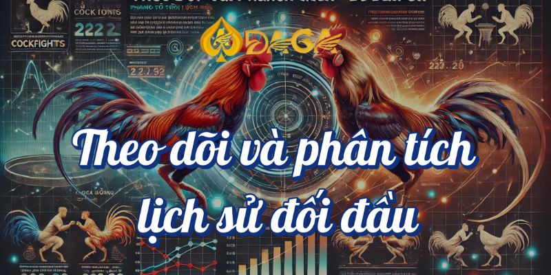 Top 5 mẹo đá gà giúp bạn gia tăng cơ hội thắng tại DAGA 3 Theo dõi và phân tích lịch sử đối đầu