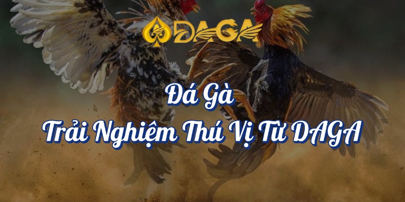Top 10 Game Đổi Thưởng DAGA Hot Nhất Hiện Nay 8 Đá gà trải nghiệm thú vị từ DAGA