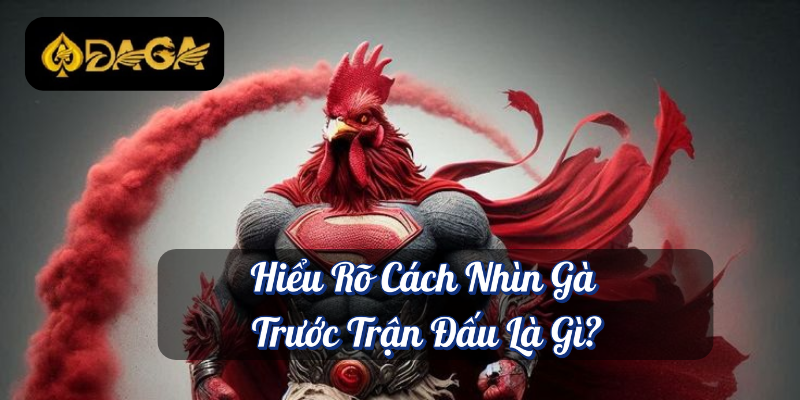 Cách Nhìn Gà Trước Trận Đấu – Bí Quyết Lụm Xiền Lớn Tại Daga 2 Hiểu Rõ Cách Nhìn gà Trước Trận Đấu Là Gì?